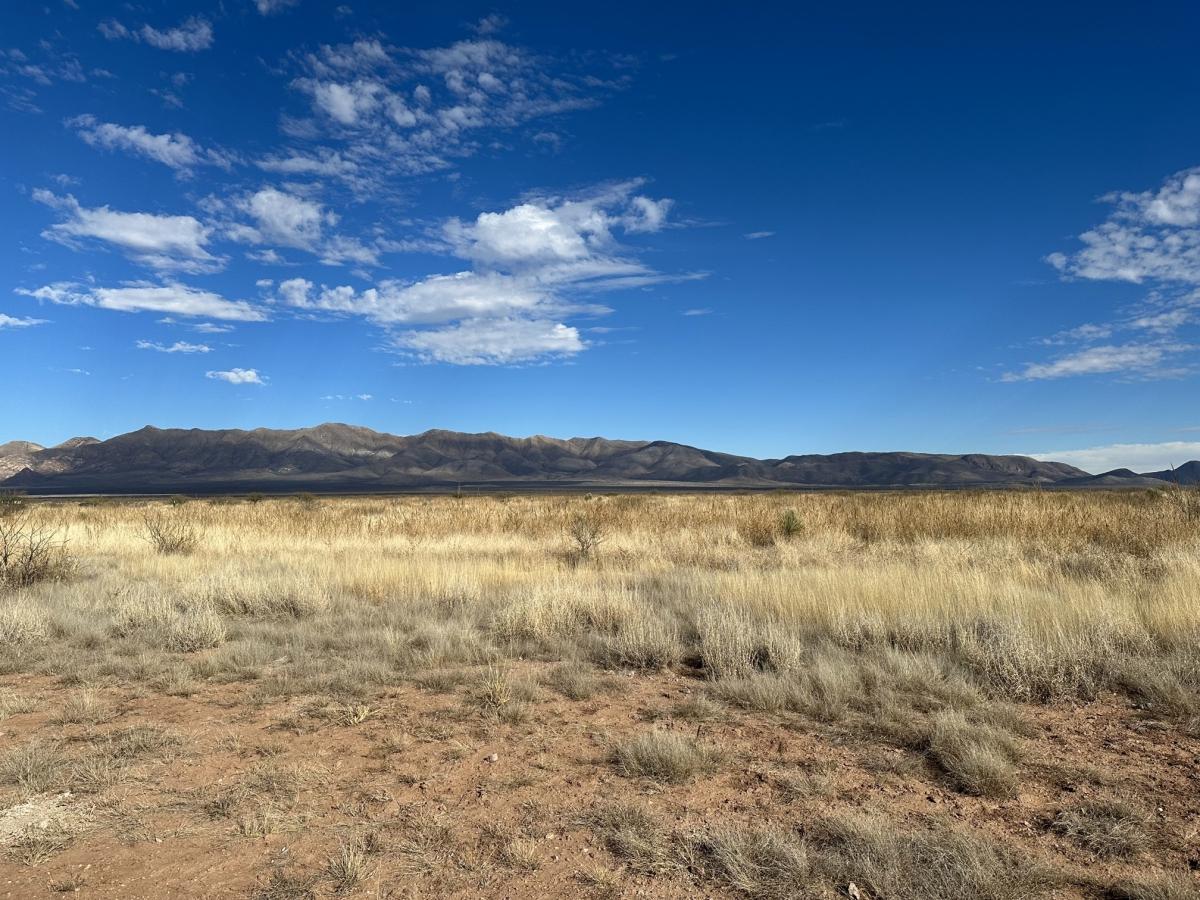 4.91 Acres for Sale in McNeal, Arizona