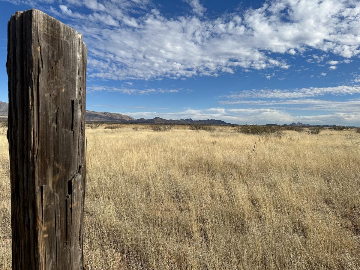 4.91 Acres for Sale in McNeal, Arizona