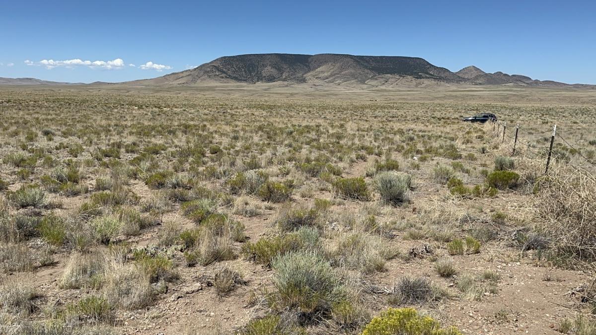 5.70 Acres for Sale in Mesita, Colorado
