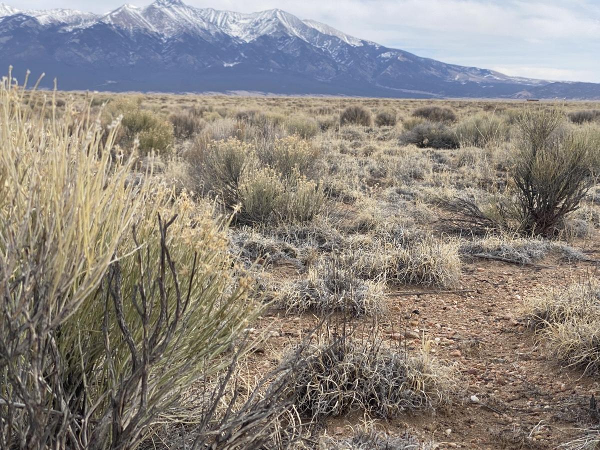 4.73 Acres for Sale in Blanca, Colorado