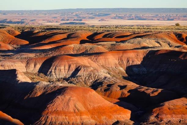 0.99 Acres for Sale in Sanders, Arizona