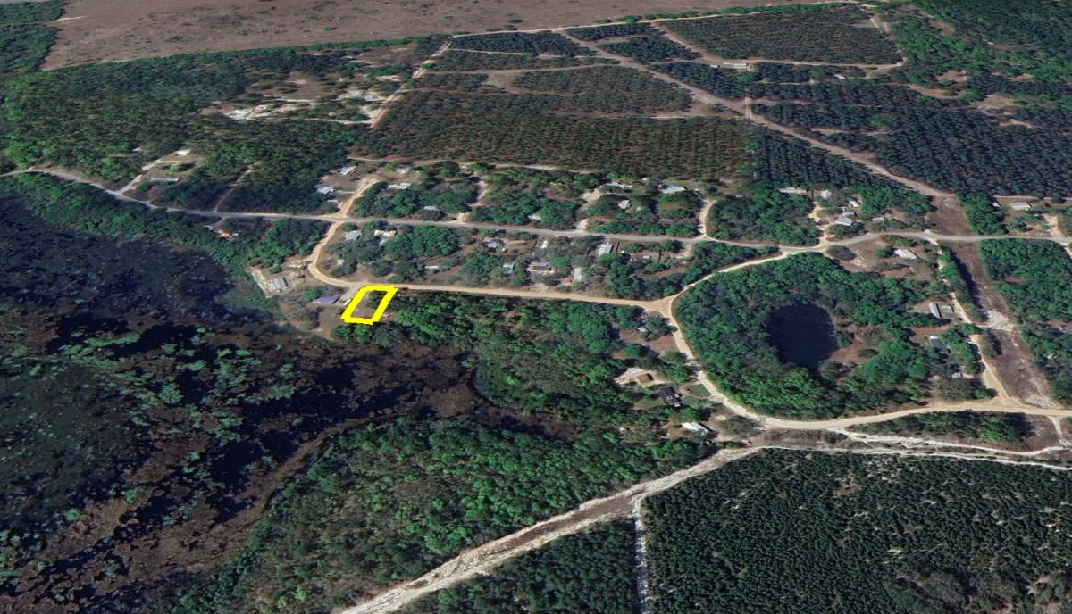 0.23 Acres for Sale in Satsuma, Florida