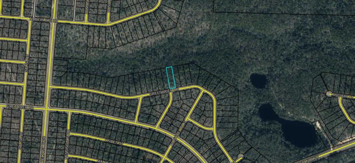 0.55 Acres for Sale in Wausau, Florida