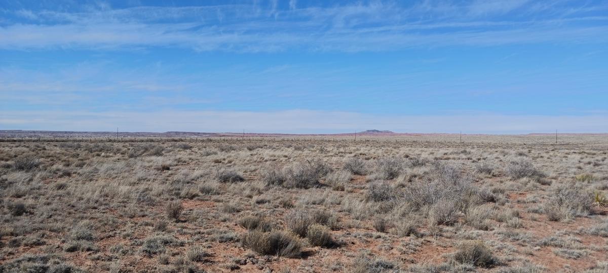 1.06 Acres for Sale in Adamana, Arizona