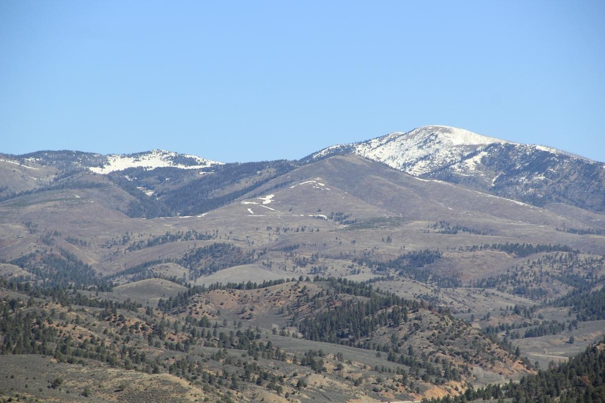 5.04 Acres for Sale in Fir, Colorado