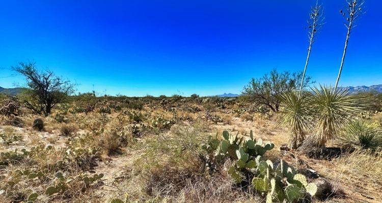 1.04 Acres for Sale in TUCSON, Arizona