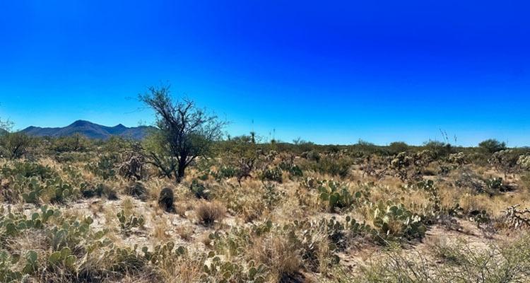 1.04 Acres for Sale in TUCSON, Arizona