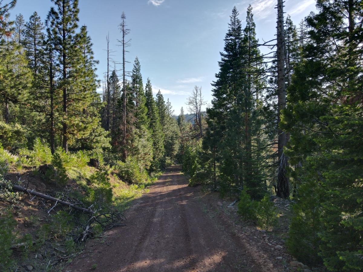 0.92 Acres for Sale in Alturas, California