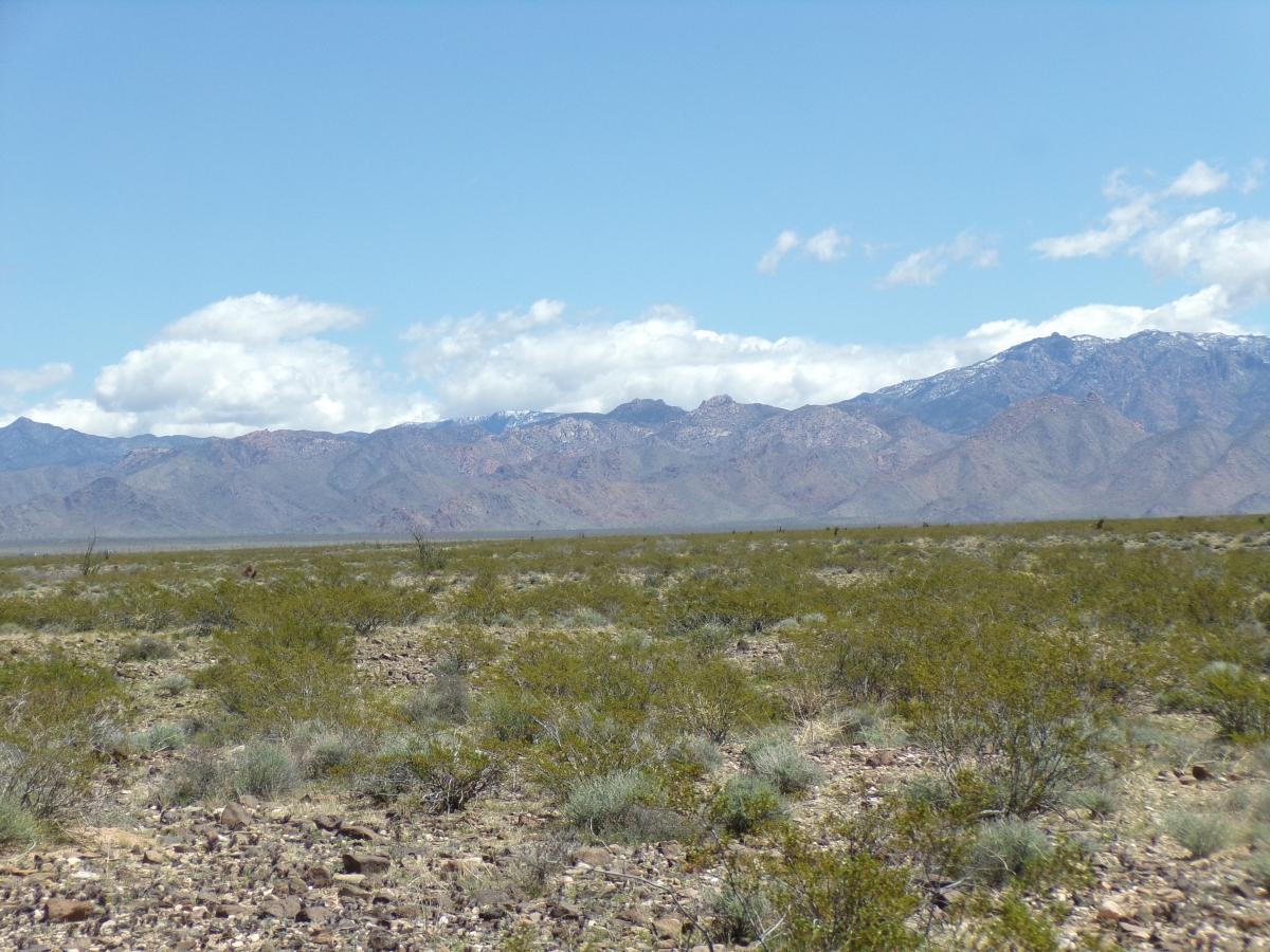 2.50 Acres for Sale in Golden Valley, Arizona
