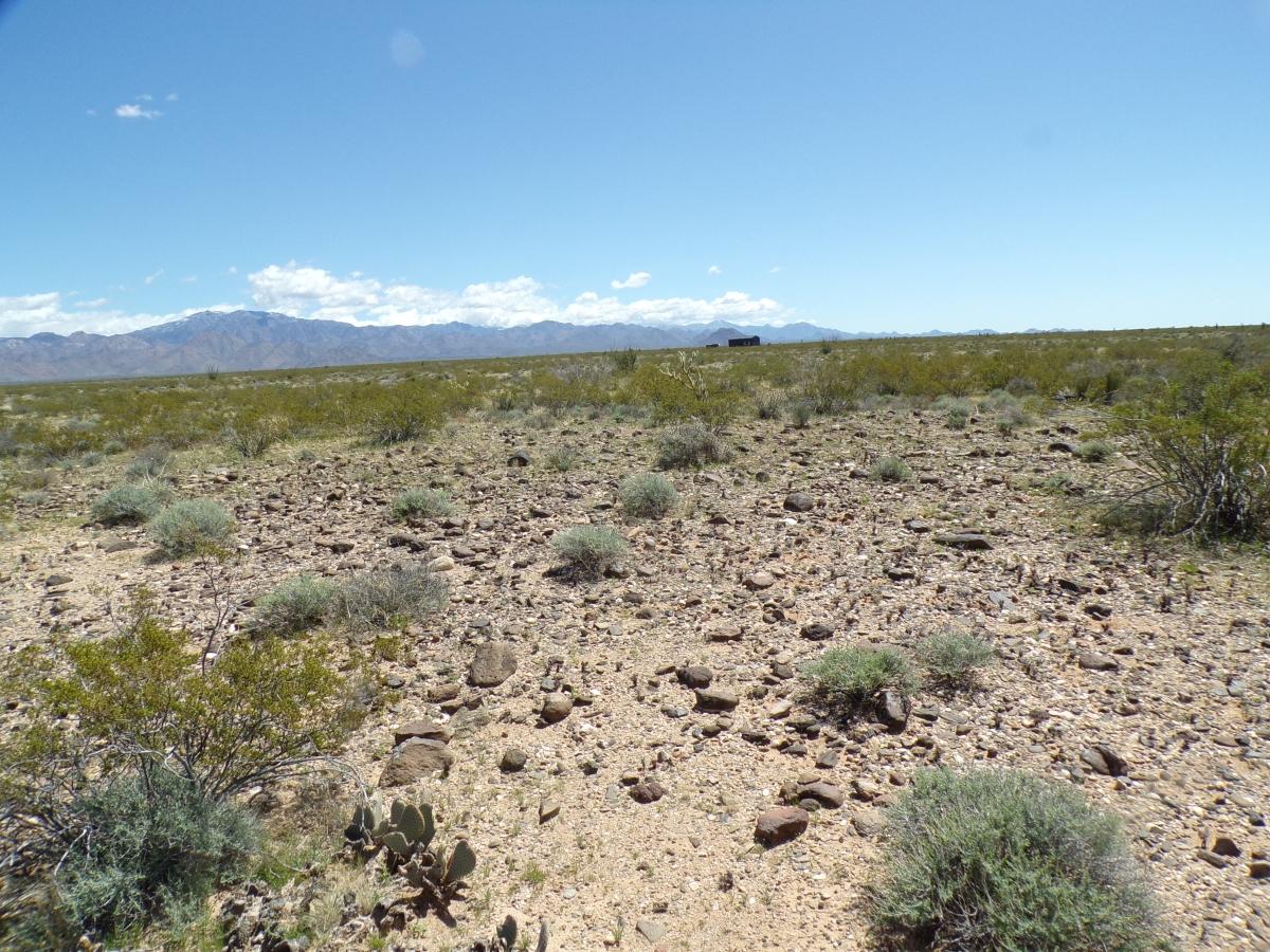 2.5 Acres for Sale in Golden Valley, Arizona