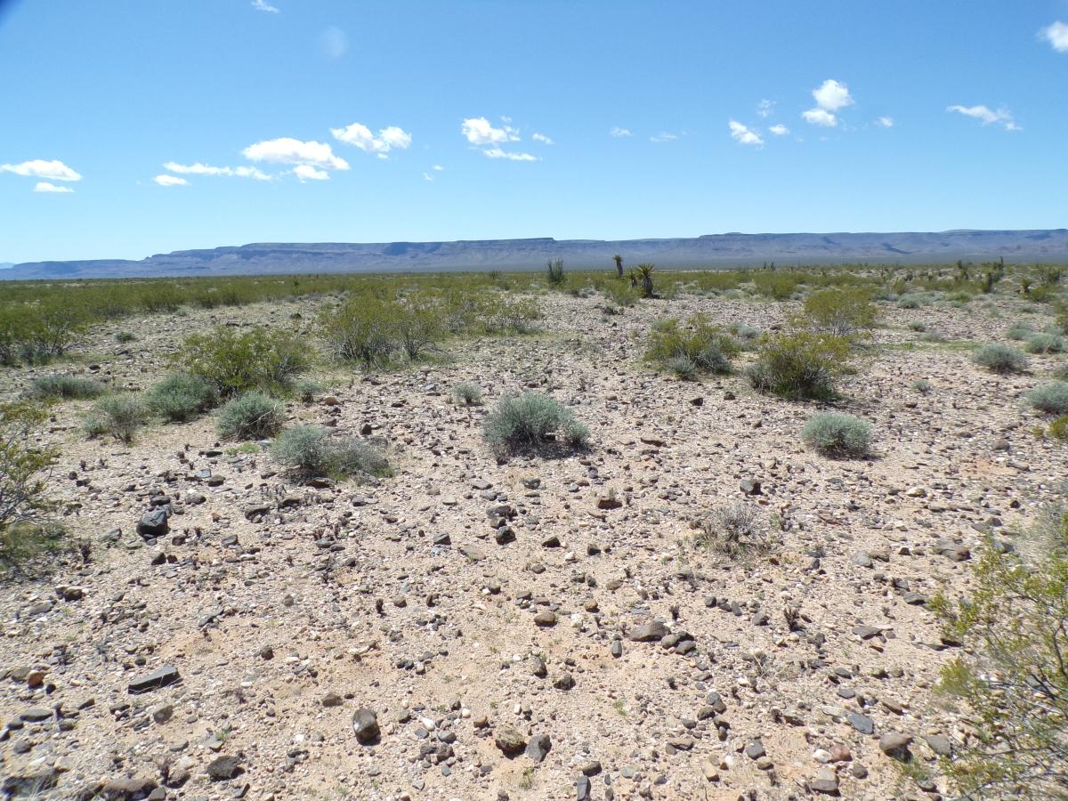 2.5 Acres for Sale in Golden Valley, Arizona