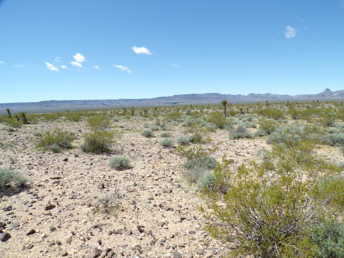 2.5 Acres for Sale in Golden Valley, Arizona