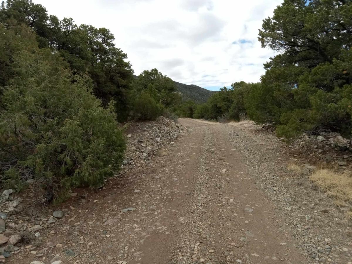 1.27 Acres for Sale in Mosca, Colorado