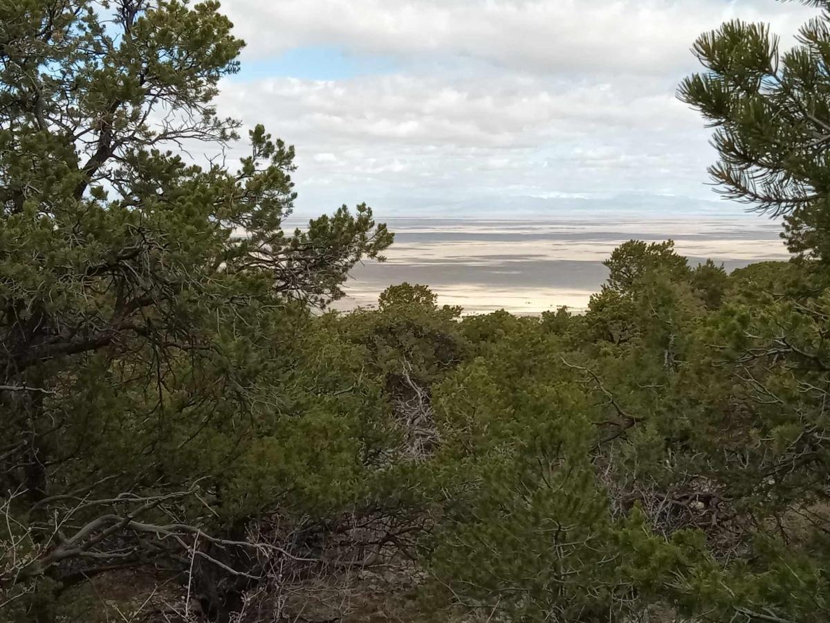 1.27 Acres for Sale in Mosca, Colorado