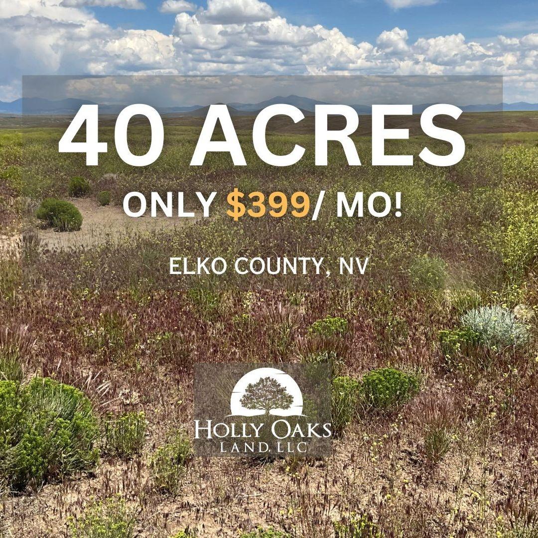 40 Acres for Sale in Elko, Nevada
