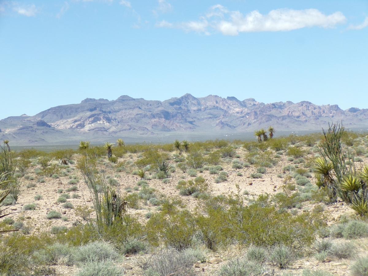 5 Acres for Sale in Golden Valley, Arizona