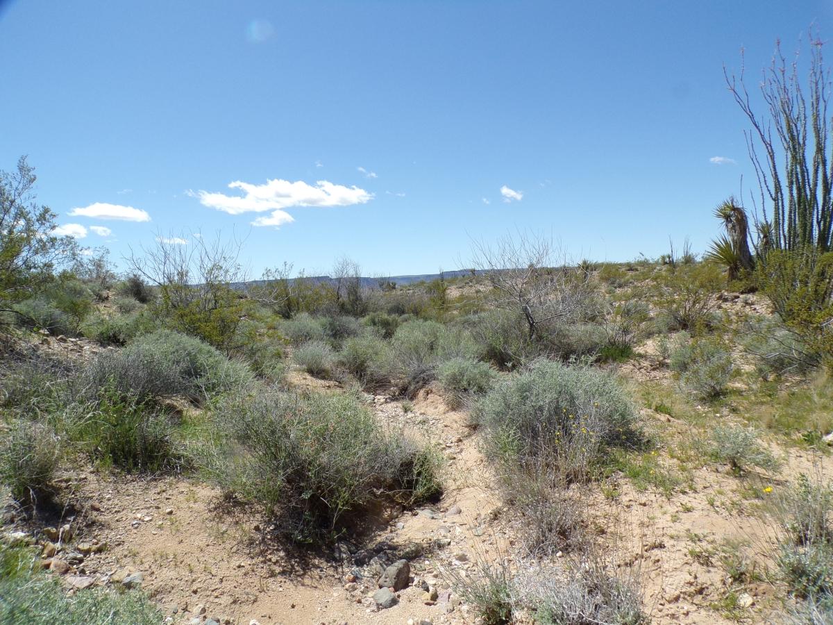 5 Acres for Sale in Golden Valley, Arizona
