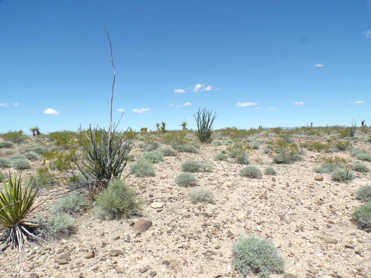 10 Acres for Sale in Golden Valley, Arizona