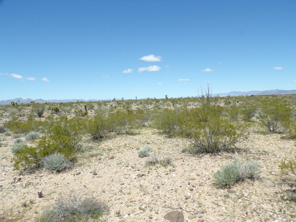 10 Acres for Sale in Golden Valley, Arizona