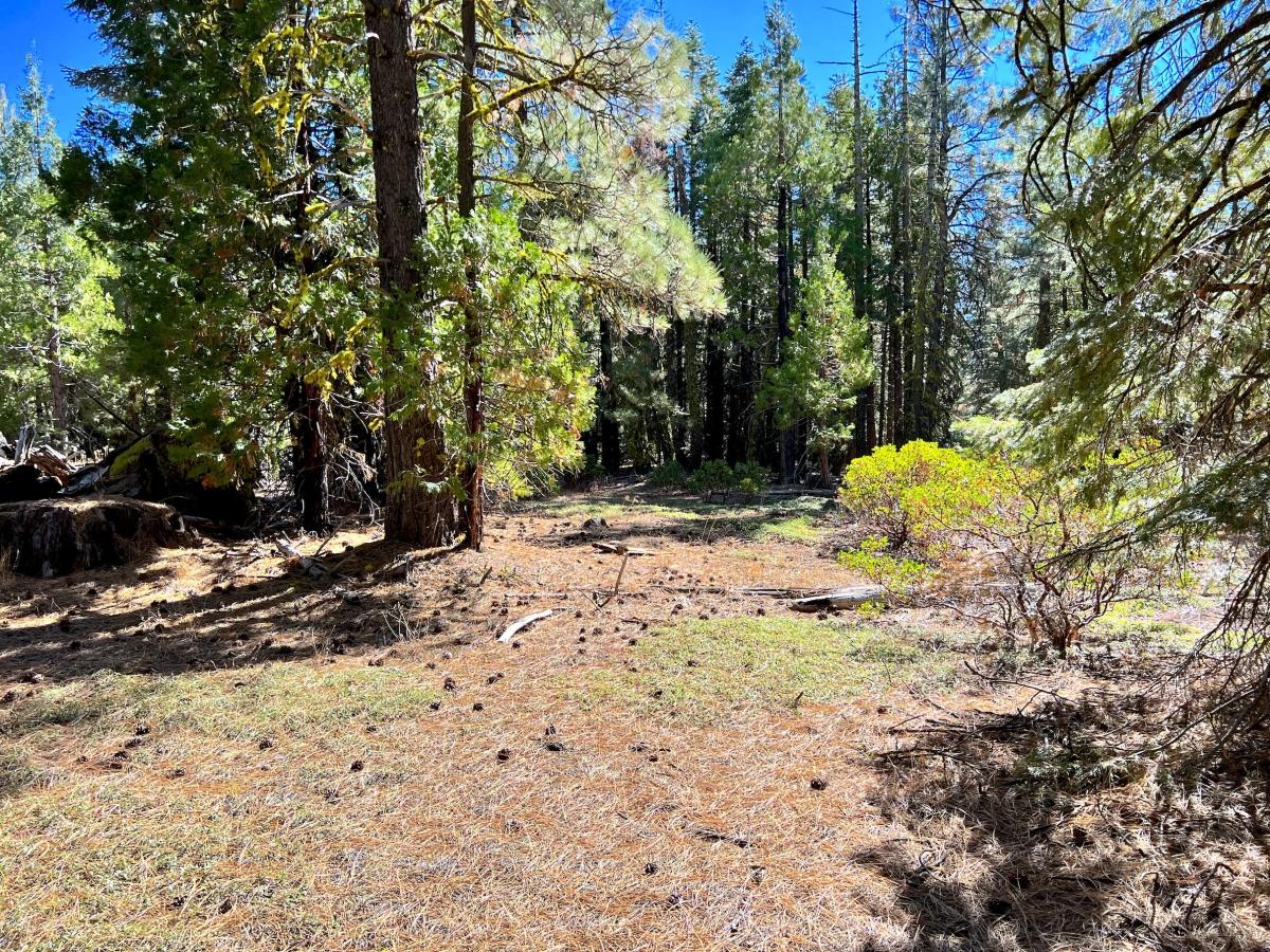 0.9 Acres for Sale in California Pines, California