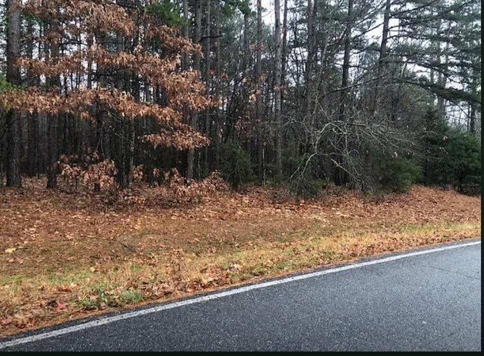 0.29 Acres for Sale in Cherokee Village, Arkansas