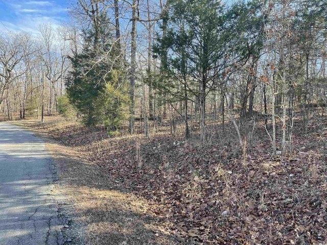 0.29 Acres for Sale in Cherokee Village, Arkansas