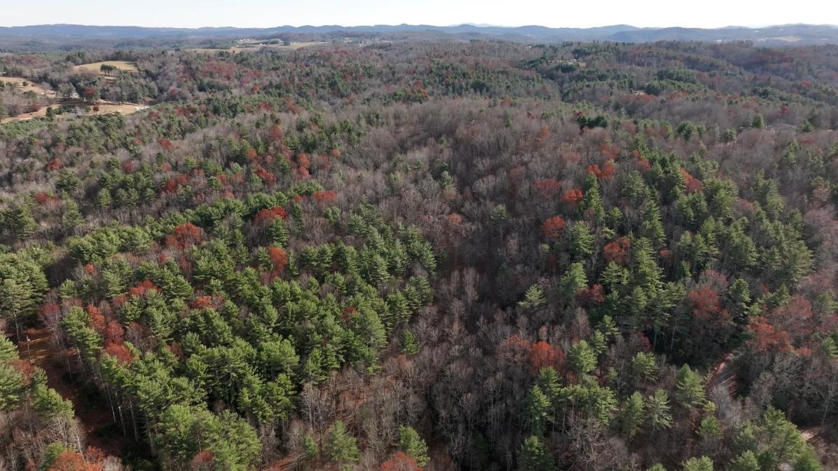 6 Acres for Sale in Galax, Virginia