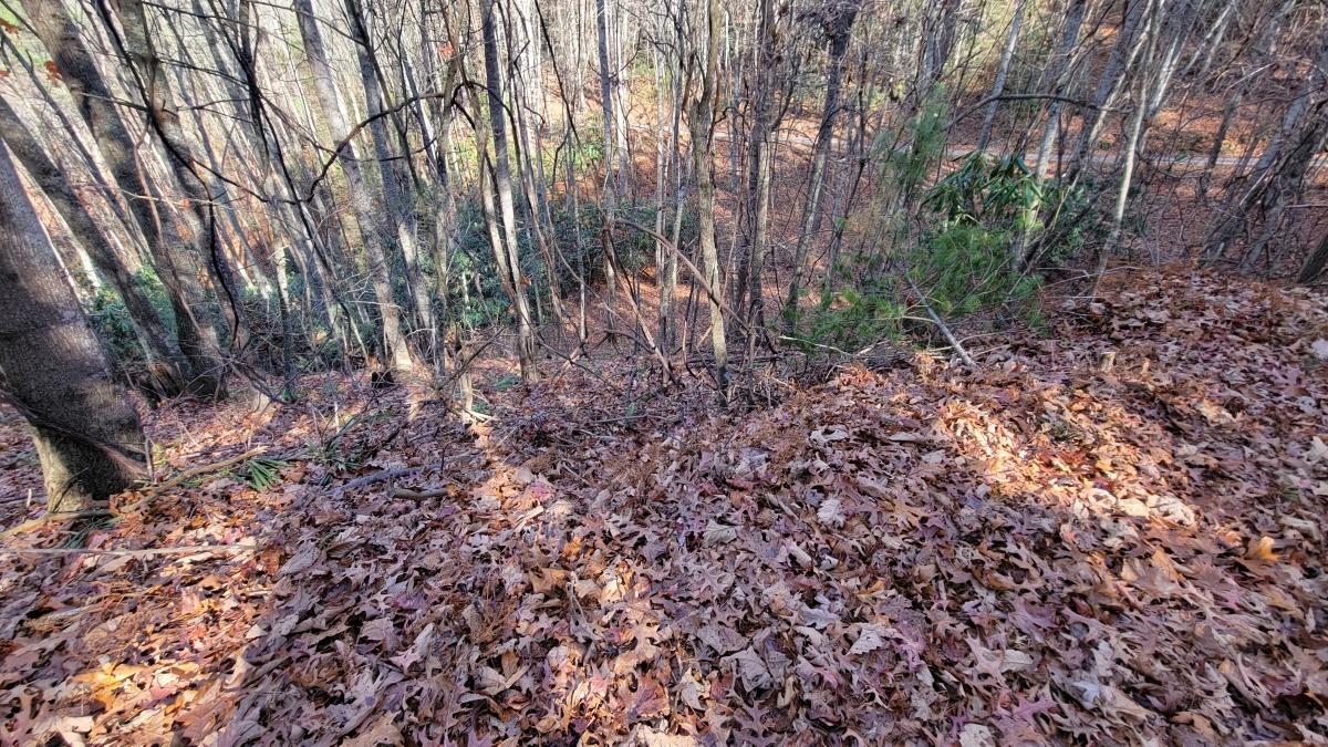 6 Acres for Sale in Galax, Virginia