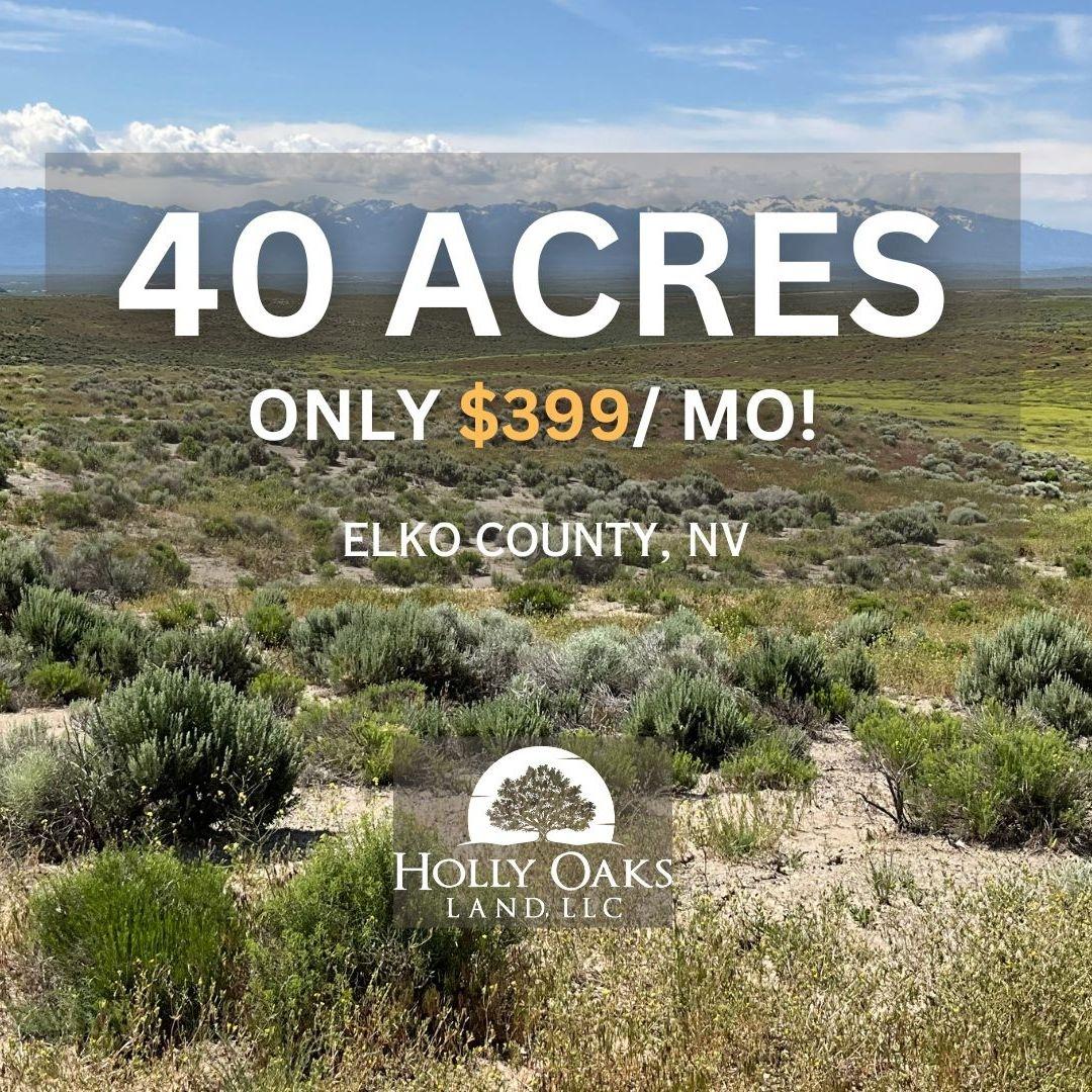 40 Acres for Sale in Halleck, Nevada