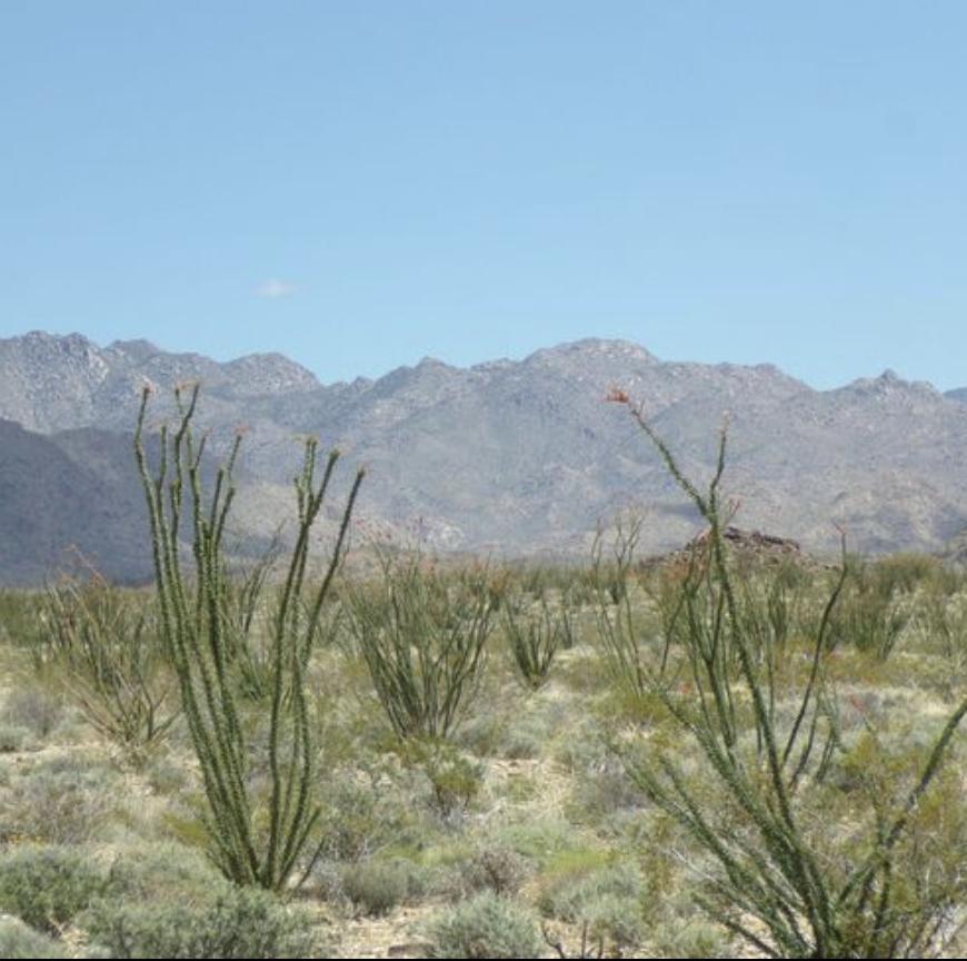 5 Acres for Sale in Concho, Arizona