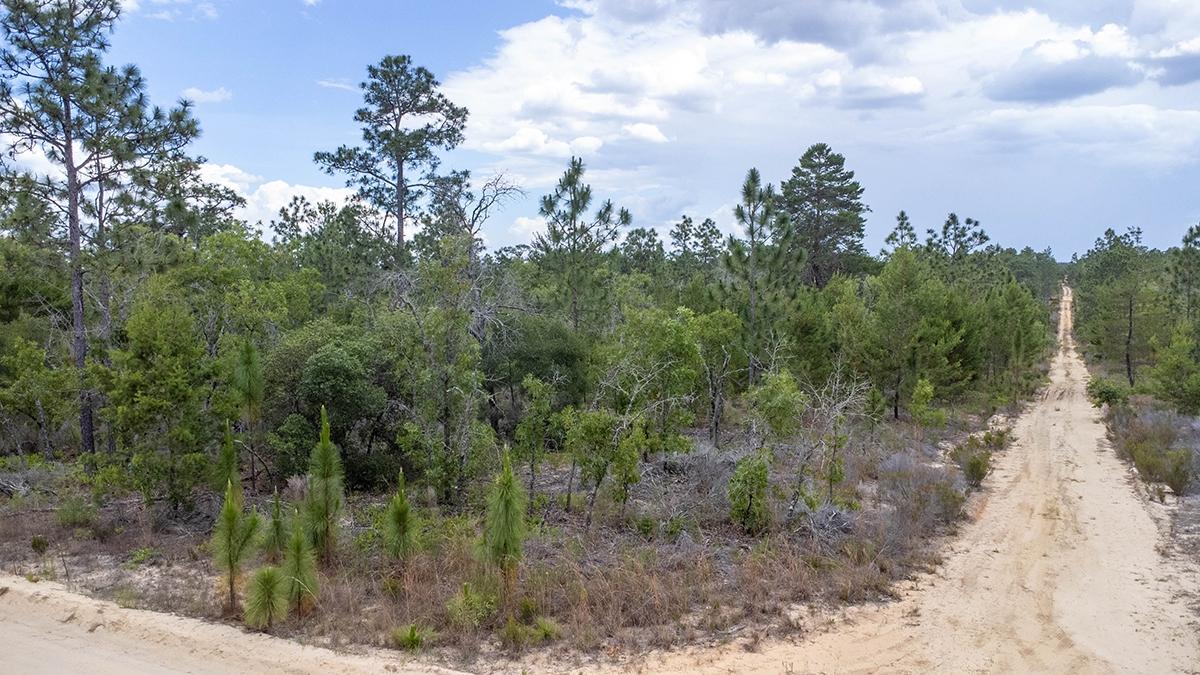 0.27 Acres for Sale in Interlachen, Florida