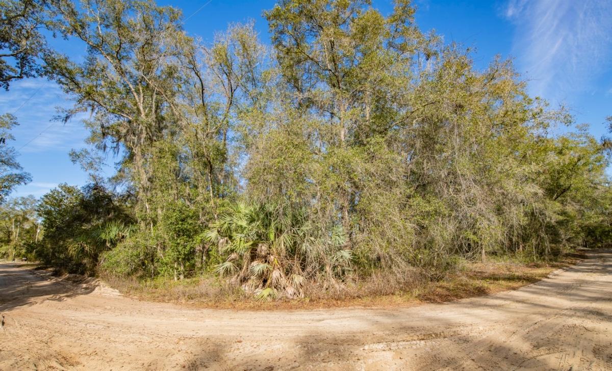 .36 Acres for Sale in Interlachen, Florida