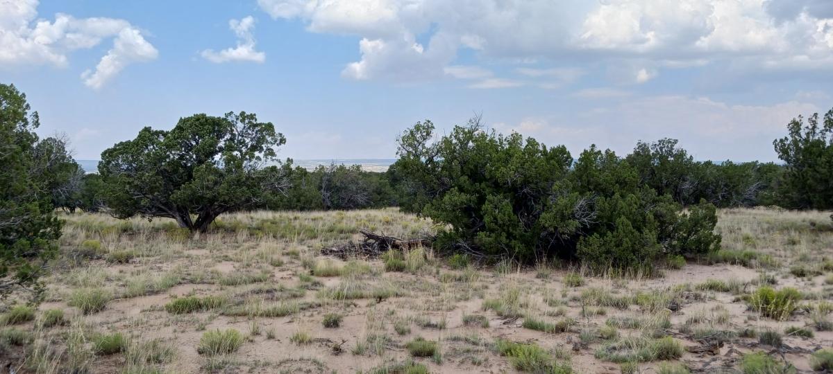 2.5 Acres for Sale in Chambers, Arizona