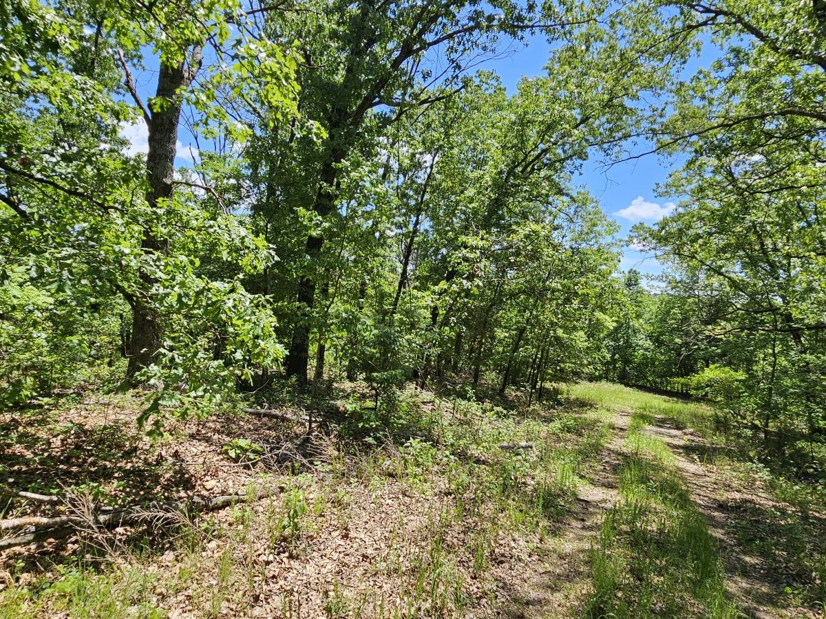 0.4 Acres for Sale in Bella Vista, Arkansas
