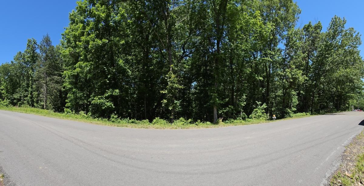 0.3 Acres for Sale in Bella Vista, Arkansas