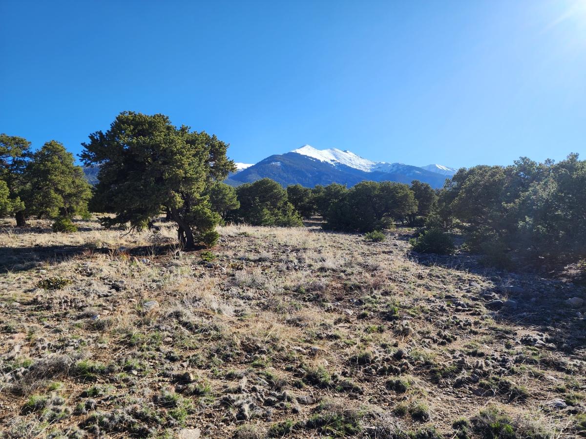 5 Acres for Sale in Blanca, Colorado