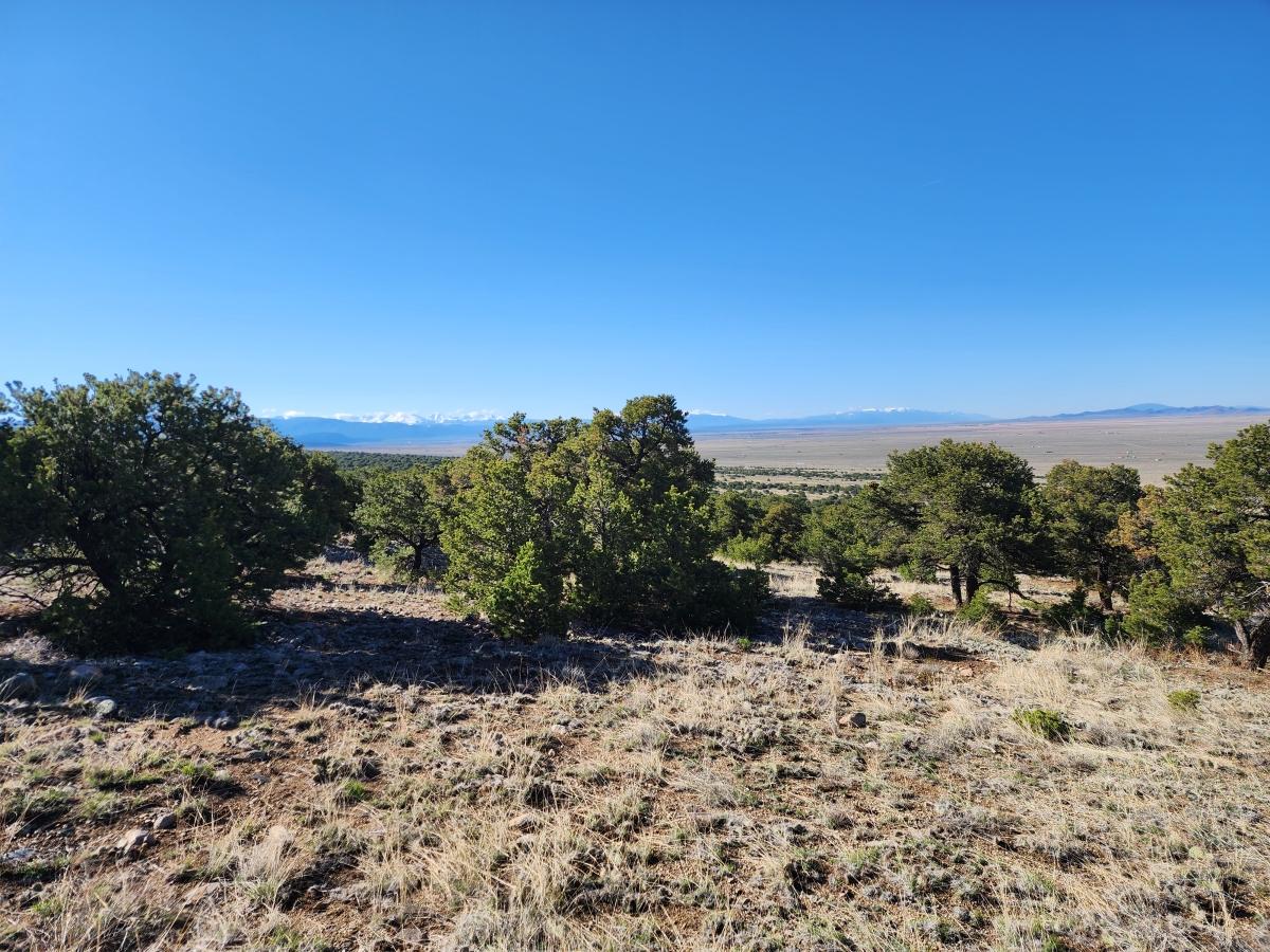 5 Acres for Sale in Blanca, Colorado
