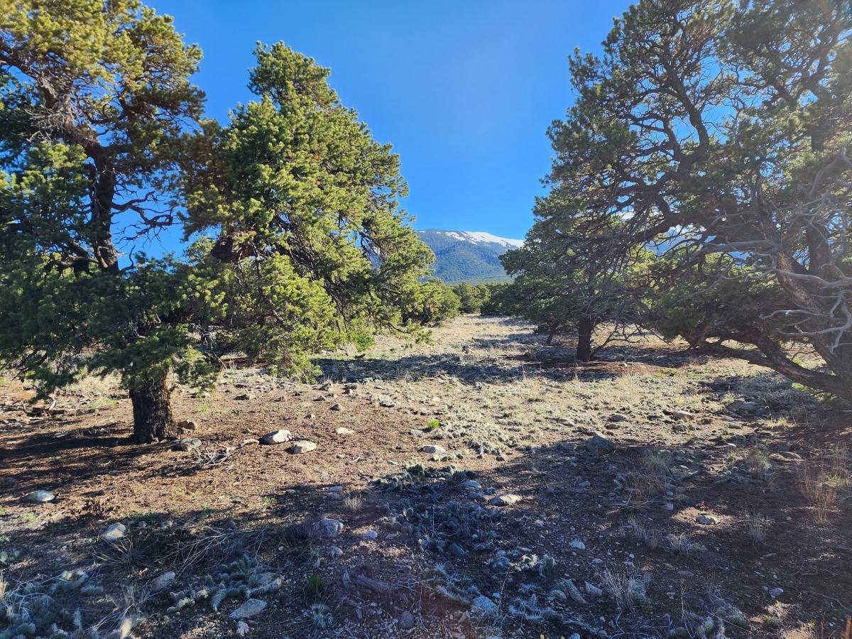 5 Acres for Sale in Blanca, Colorado