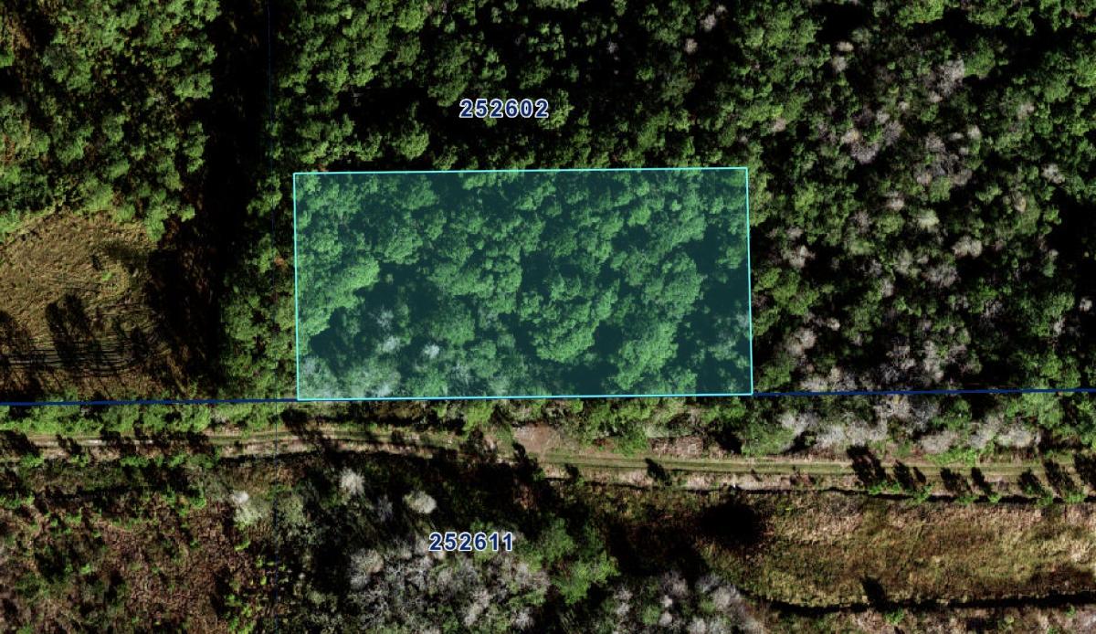 1.25 Acres for Sale in Auburndale, Florida