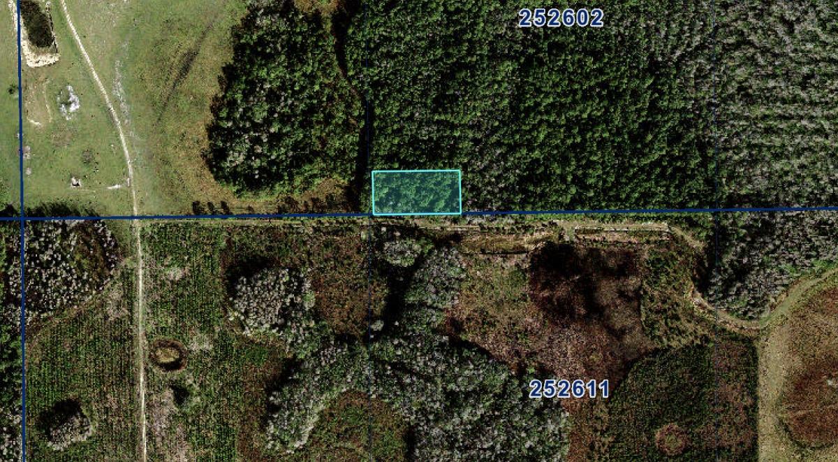 1.25 Acres for Sale in Auburndale, Florida