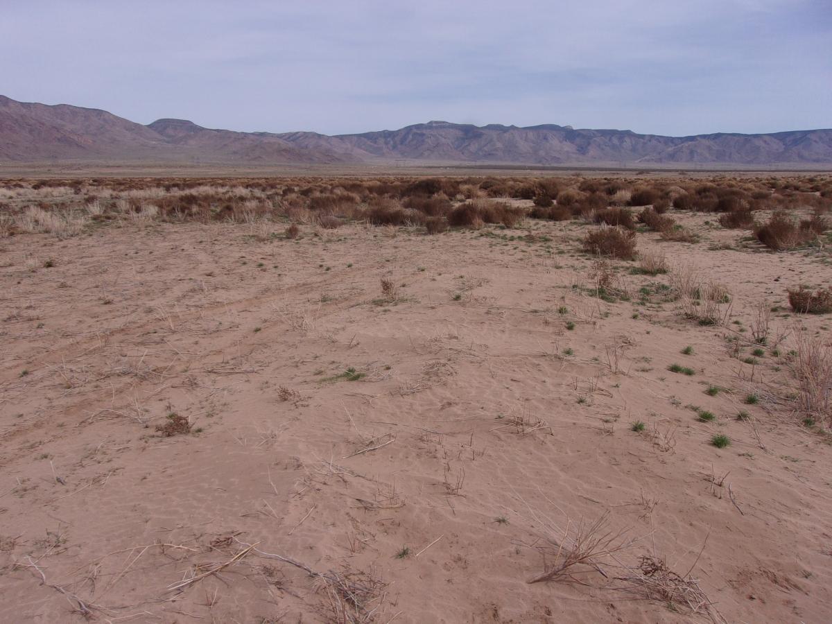 2.5 Acres for Sale in Antares, Arizona
