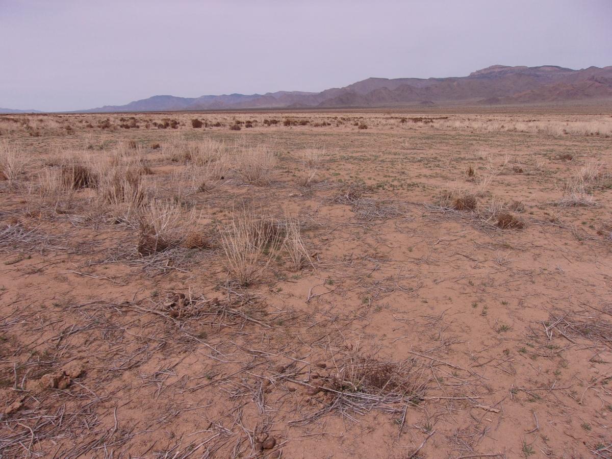 2.5 Acres for Sale in Antares, Arizona