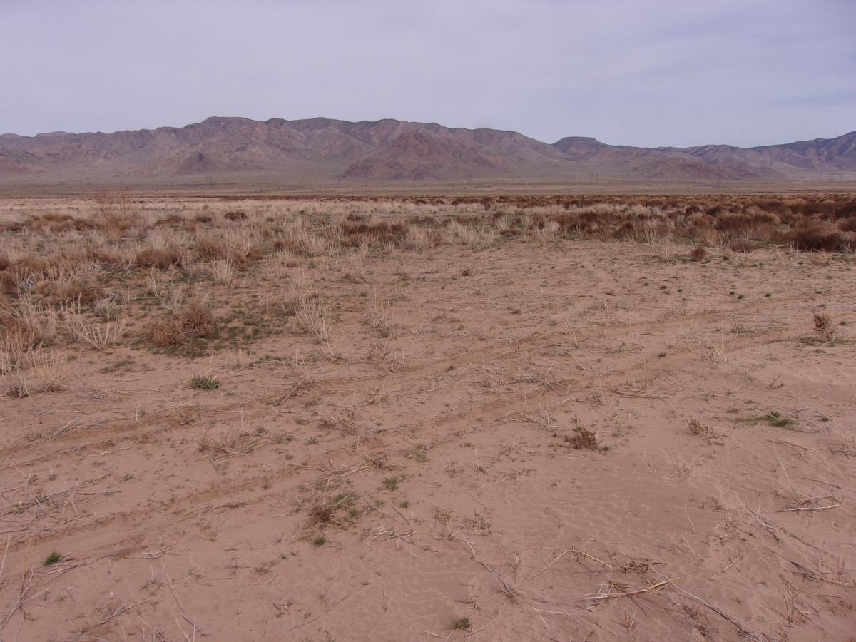2.5 Acres for Sale in Antares, Arizona