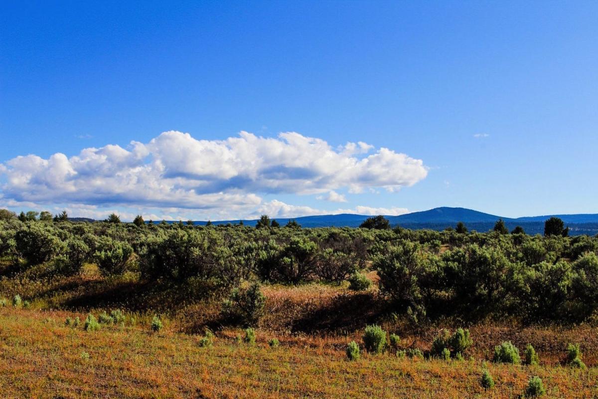 1.09 Acres for Sale in California Pines, California