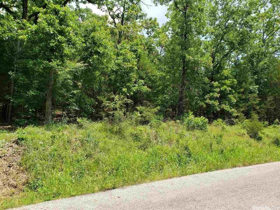 0.25 Acres for Sale in Cherokee Village, Arkansas