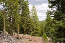 0.91 Acres for Sale in Alturas, California