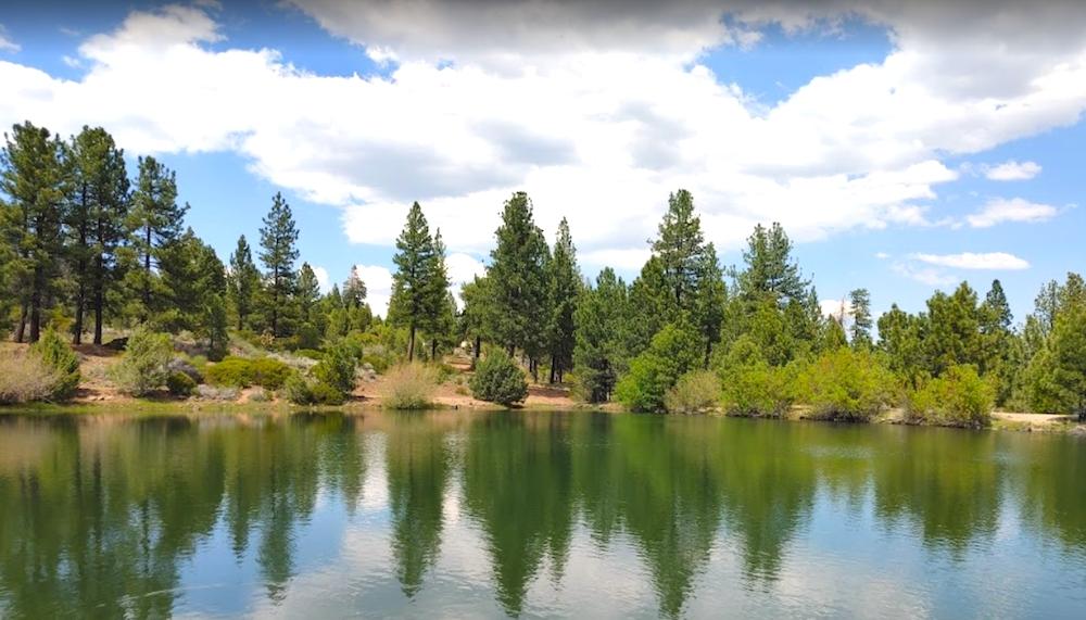 1.55 Acres for Sale in Alturas, California