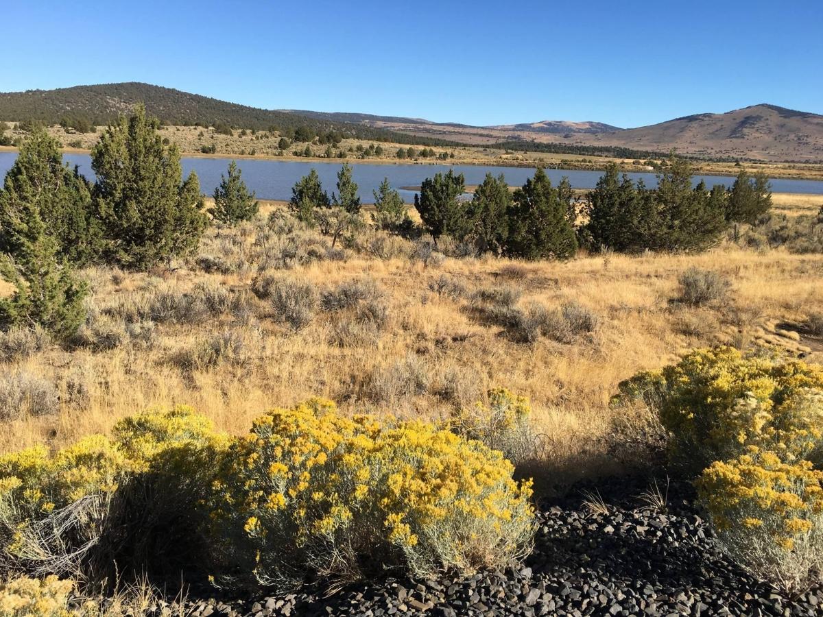 0.93 Acres for Sale in Alturas, California