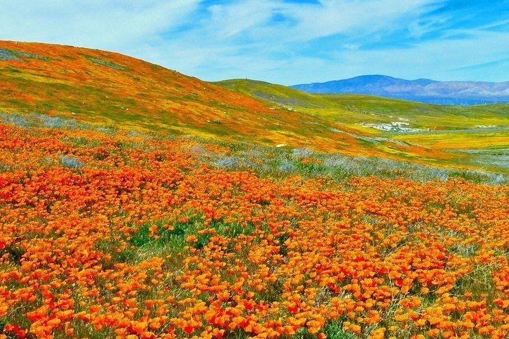 0.17 Acres for Sale in Redman, California