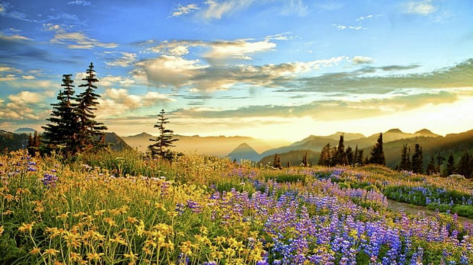 0.17 Acres for Sale in Lancaster, California